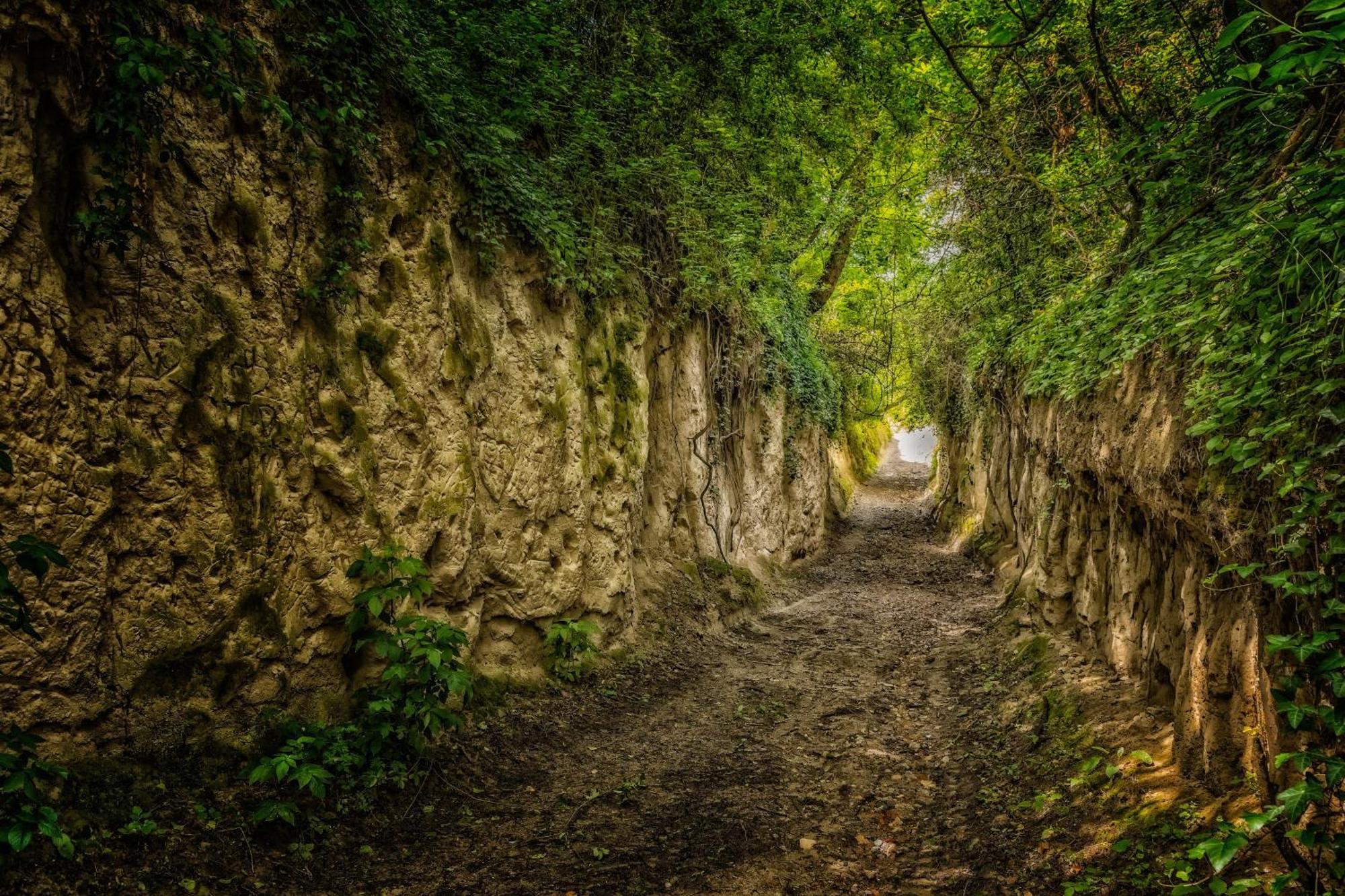 Dreilaendereck Am Kaiserstuhl * Wasenweiler